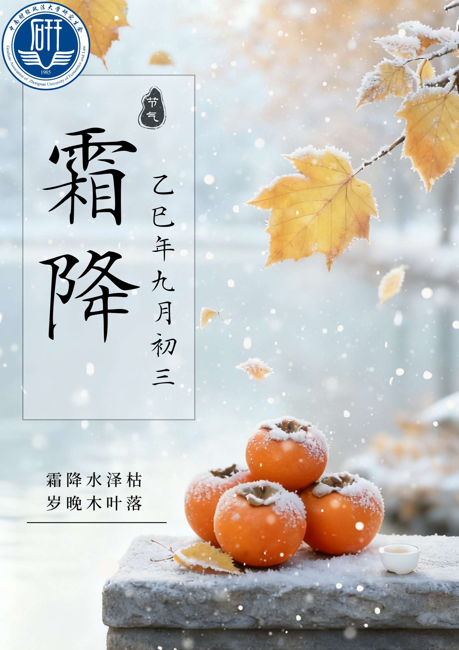 霜降海报